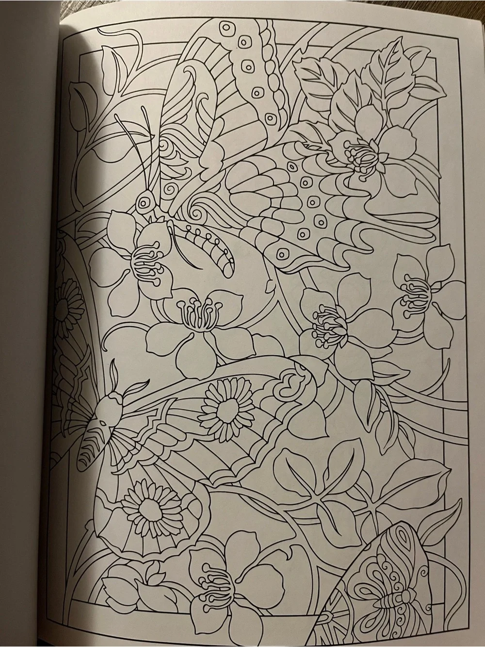 Incredible Insect Designs Coloring Book - Purple & Multicolor